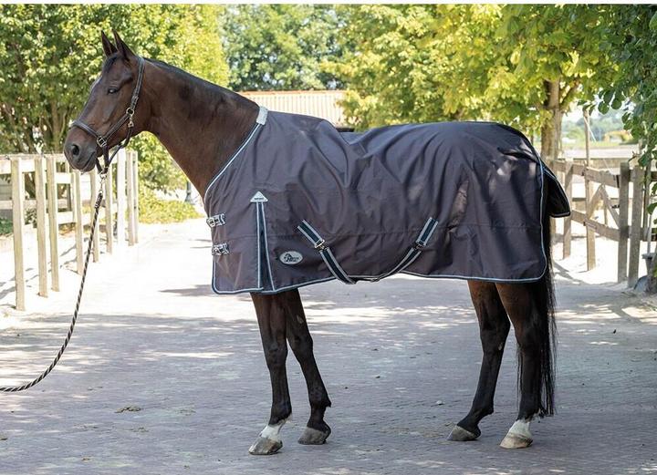 Immagine prodotto Harry's Horse Thor (115 cm)