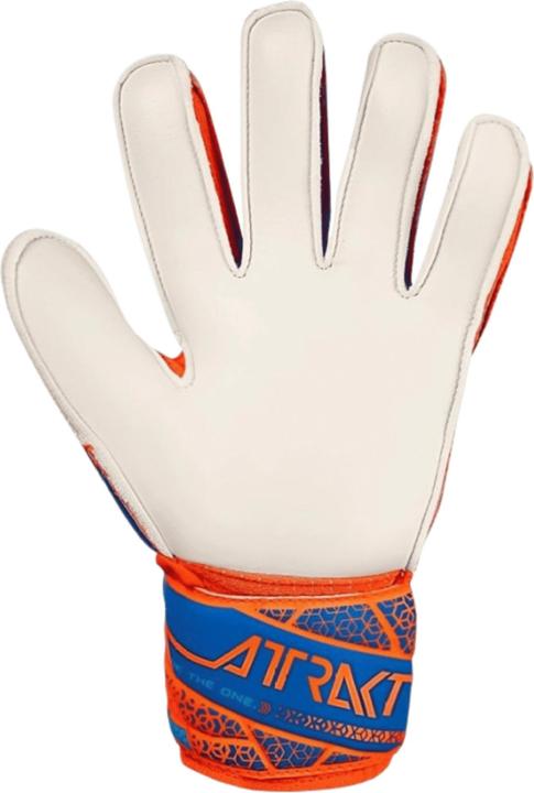 Image du produit Reusch Attrakt Solid (8)