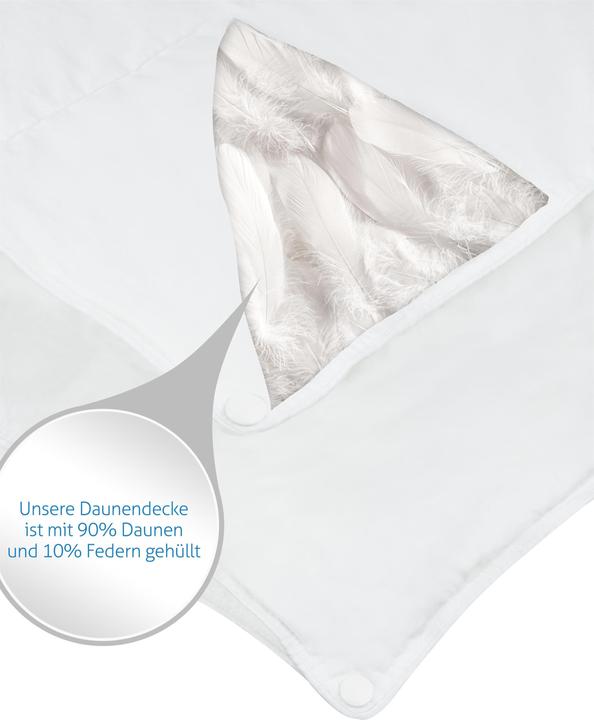 Actual product image Aspero Sommer Daunendecke Ystad (355 g, 200 x 200 cm)