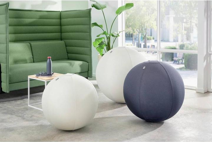 Produktbild Leitz Ergo Active Sitzball (65 cm)