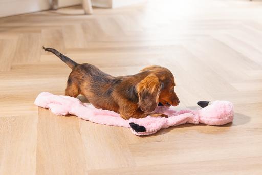 Productafbeelding Beeztees Puppy Flatino Flamingo Fe (Puppy speelgoed)