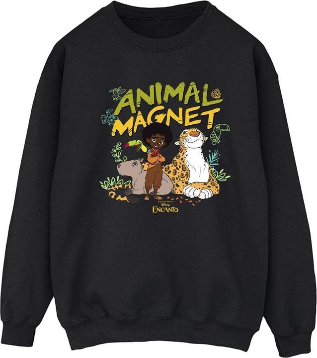 Actual product image Disney Womens/Ladies Encanto Animal Magnet Sweatshirt (XXL)