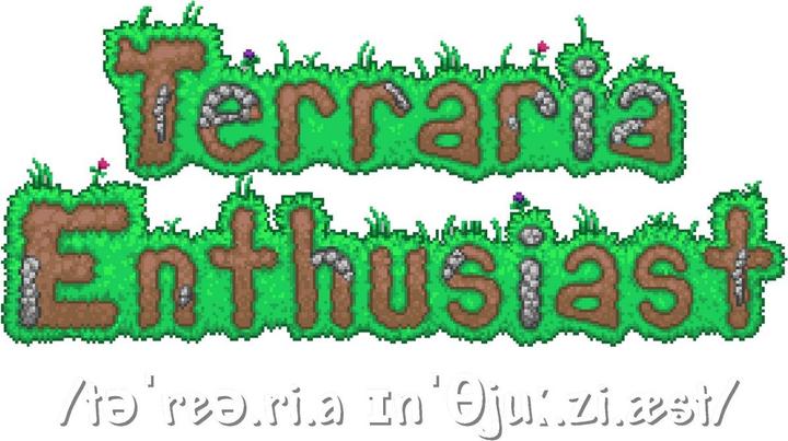 Image du produit Terraria - T-shirt ENTHUSIAST - Adulte (XL)