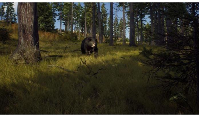 Actual product image THQ Way of the Hunter (PC, EN)
