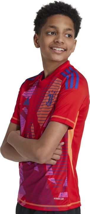 Immagine prodotto adidas Maglia da portiere Juventus Torino Bambino (152)