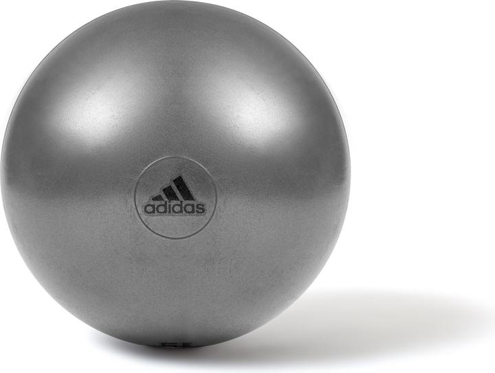 Actual product image adidas Exercise ball (75 cm)
