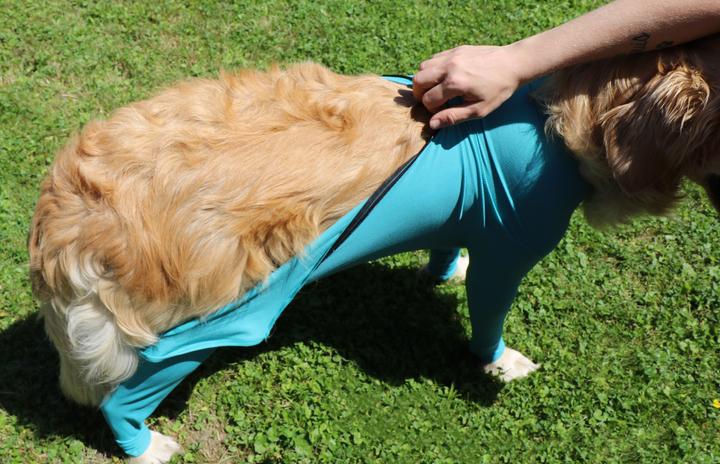 Immagine prodotto Vetmedcare Body per cani con zampe e zip (Cane)