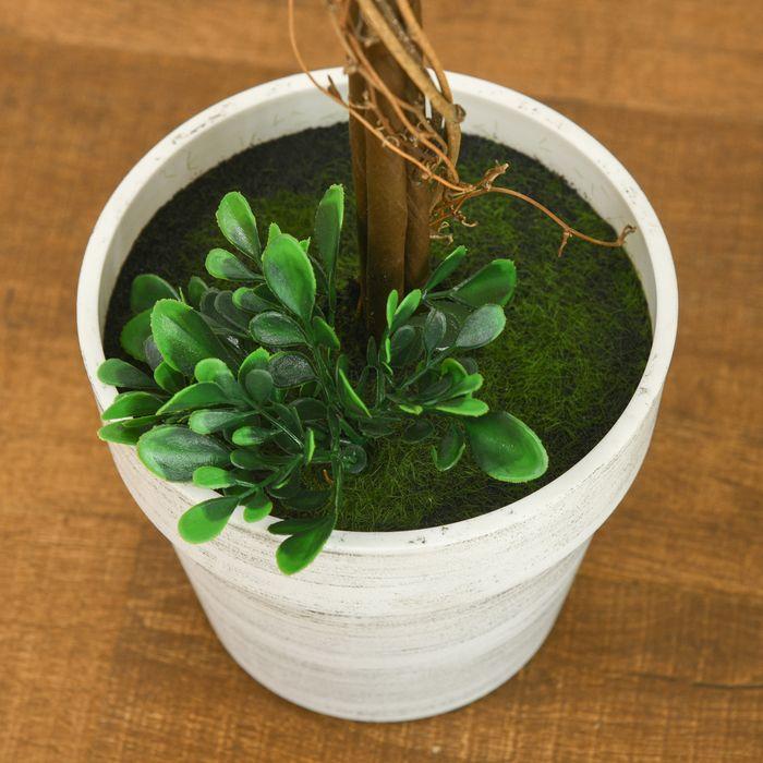 Immagine prodotto Swisshandel24 Piante artificiali, set di 2 piante artificiali resistenti ai raggi UV, alberi in cassetta da 60 (60 cm)