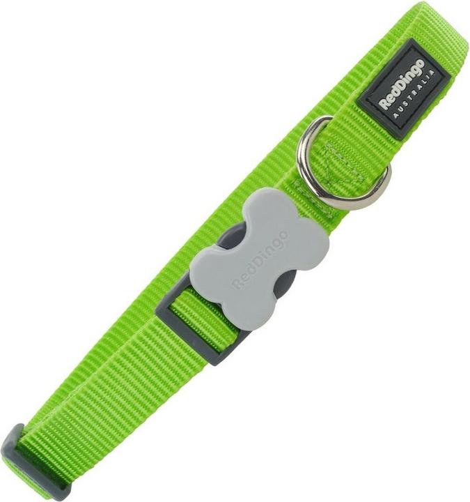 Actual product image Red Dingo Dog Collar Plain Lime Green S (S, Dog, General)