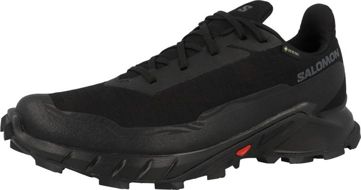 Immagine prodotto Salomon Alphacross 5 GTX - 59879 (44 2/3)