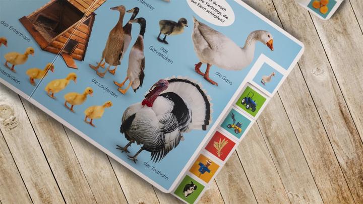 Actual product image Erstes Lernen. In der Natur (German, DK Verlag - Kids, 2021)