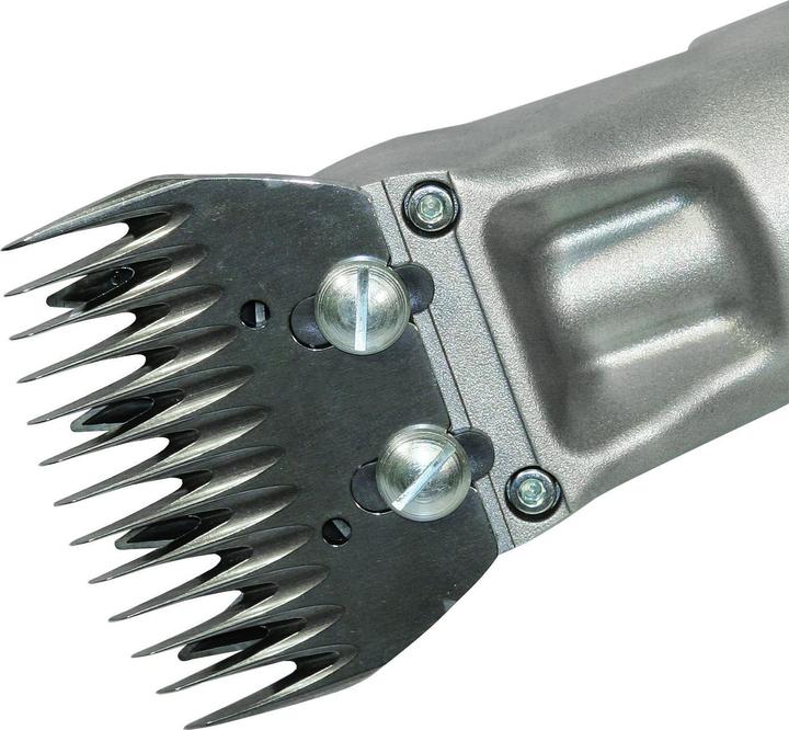 Image du produit Kerbl Tondeuse à moutons Constanta4 230 V/400 W, 13/4 dents (Rongeur)