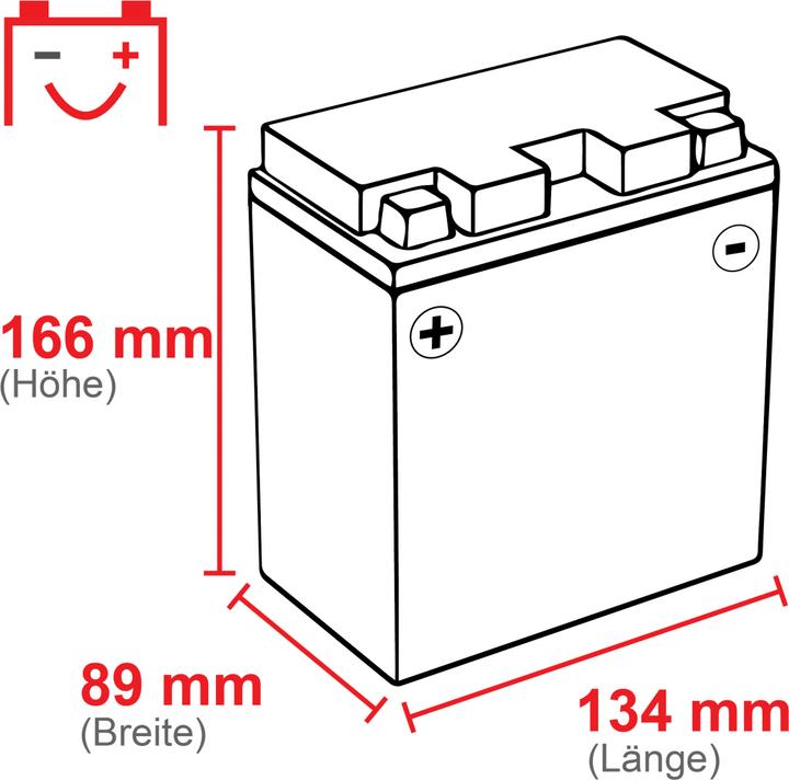 Actual product image Exide Agm (12 V, 12 Ah, 210 A)