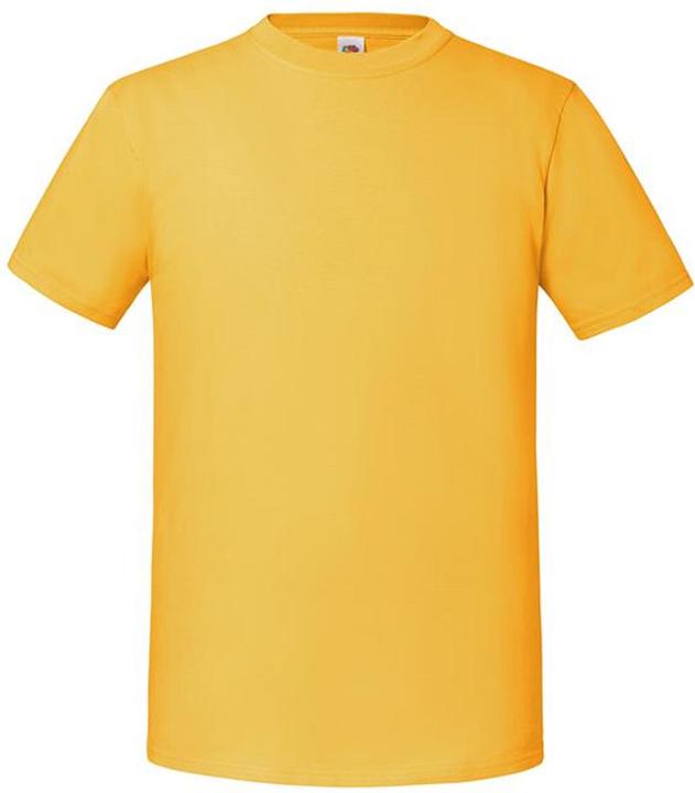 Tournesol