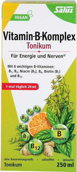 Produktbild Salus Vitamin-B-Komplex (1 Stück, Flüssigkeit, 601 g)