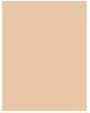 Actual product image Dr. Hauschka Foundation 01 macadamia 30 ml (01 Macadamia)