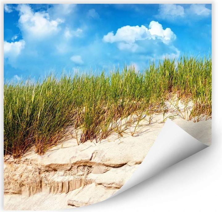 Produktbild Trenddeko Ostsee Dünenlandschaft (30 x 30 cm)