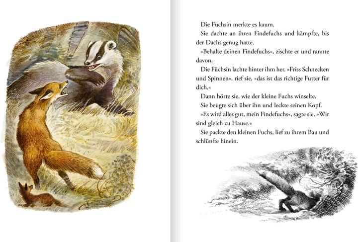 Immagine prodotto Der Findefuchs (Tedesco, Irina Korshunov, 2021)