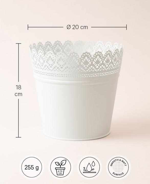 Image du produit Esmée Pot de fleurs, cache-pot avec pointes, tôle (20 cm)