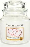 Immagine prodotto Yankee Candle Barattolo grande (623 g)
