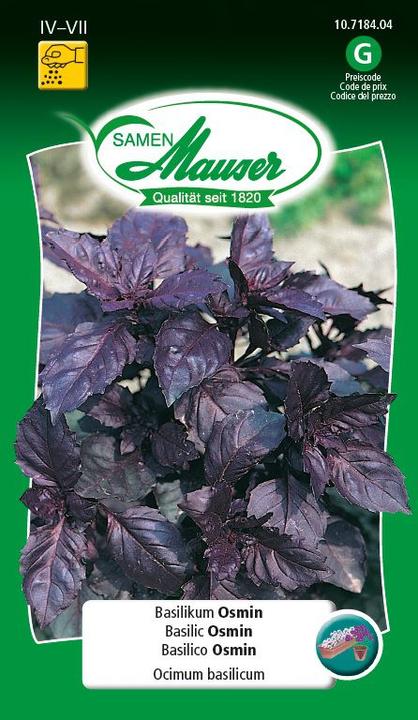 Immagine prodotto Samen Mauser Basil Osmin (Semi di erbe)