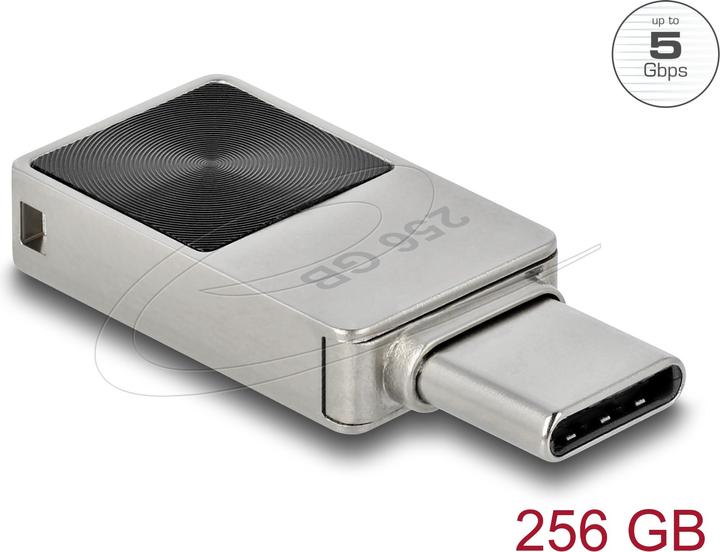 Actual product image Delock Mini (256 GB, USB-C)