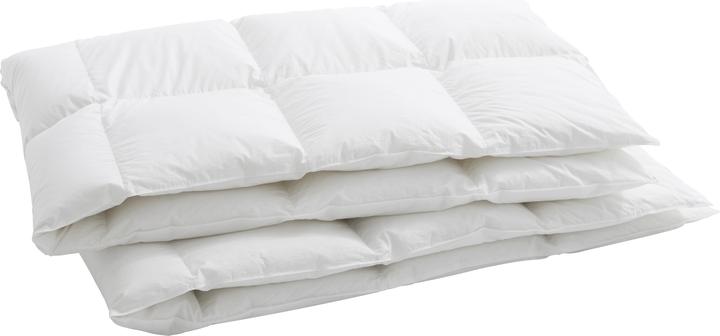 Immagine prodotto Billerbeck Luzern 90 (700 g, 160 x 210 cm)