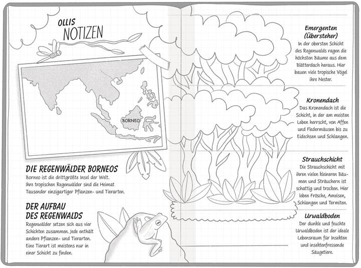 Produktbild Ein Fall für die Forscher-Kids 5. Jagd durch den Regenwald (Deutsch, S. J. King, DK Verlag - Kids, Violeta Topalova, Ellie O’Shea, 2024)