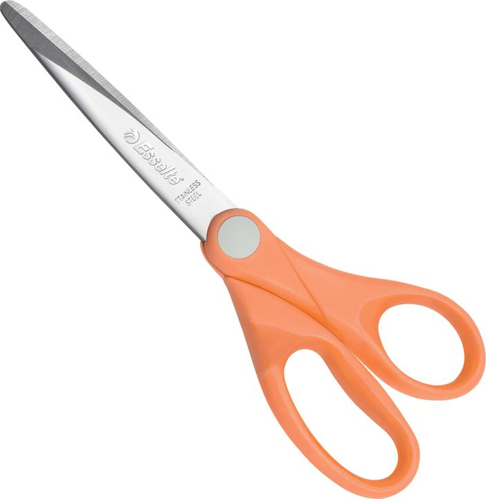 Actual product image Esselte COLOUR'ICE - Scissors (18 cm)