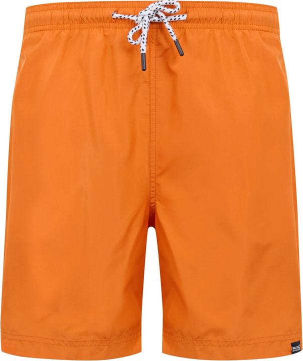 Actual product image Regatta Mens Mackleyna Swim Shorts (3XL)
