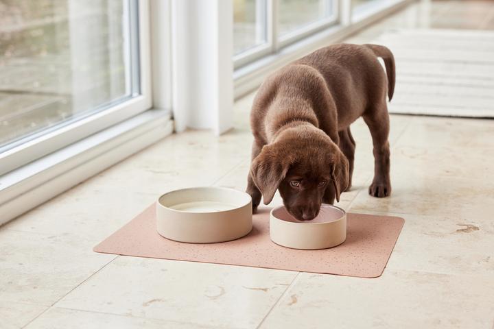 Image du produit Oyoy ZOO - Koko Dog Bowl Mat - Brown (Z60000)