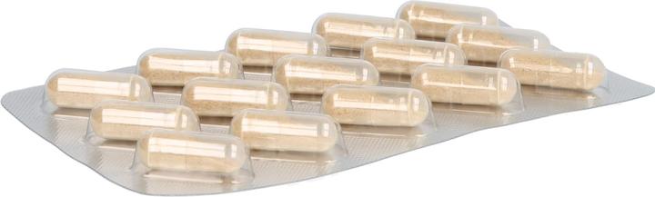 Actual product image Salus Neuro Balance Ashwagandha (30 Piece, Capsules, 32 g)