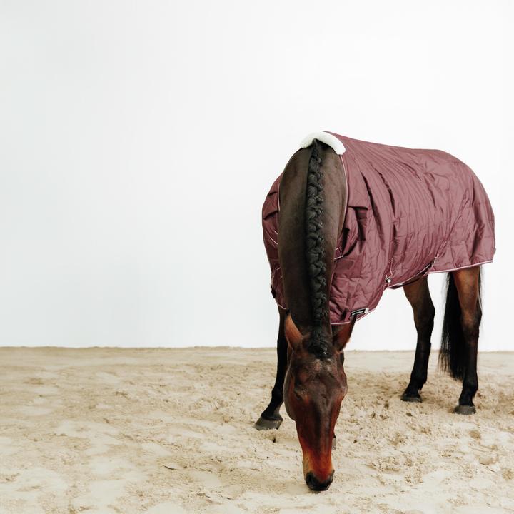 Actual product image Fouganza Combo (165 cm)