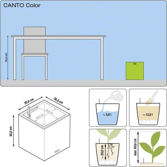 Actual product image Lechuza Canto (30 cm)
