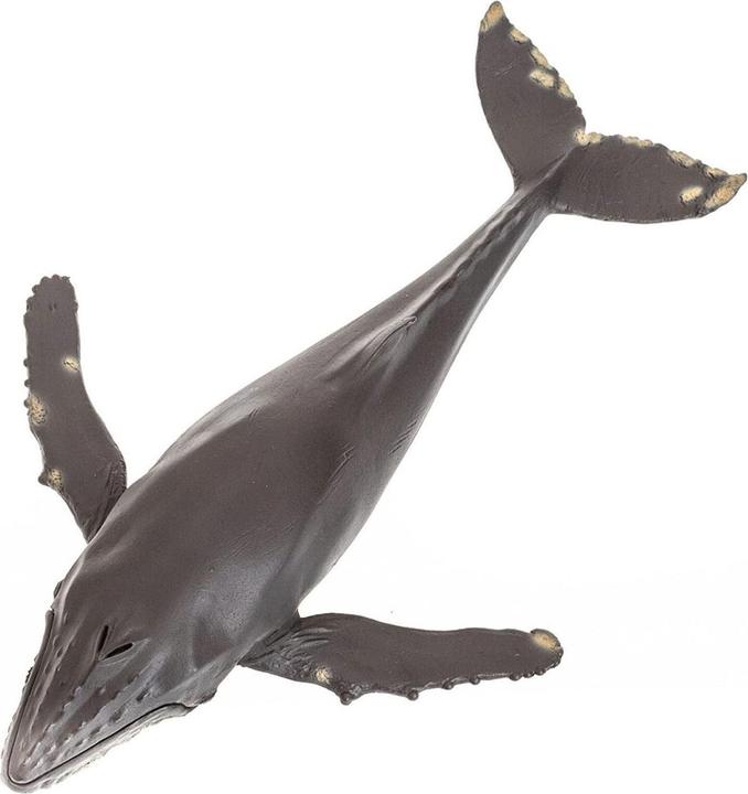 Image du produit Animal Planet Baleine à bosse