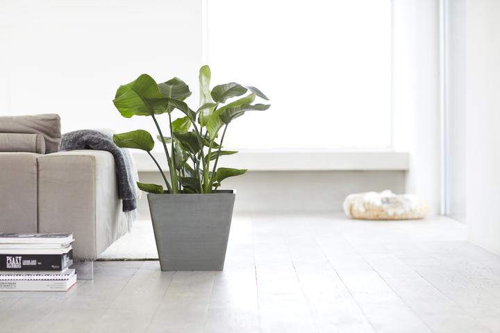 Image du produit Ecopots Rotterdam (40 cm)