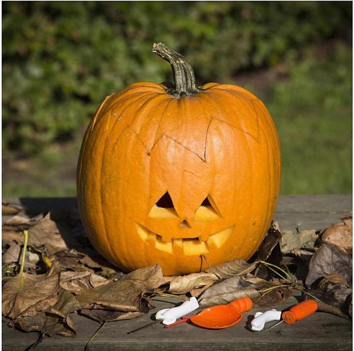Immagine prodotto Creativ Company Strumento per intagliare la zucca
