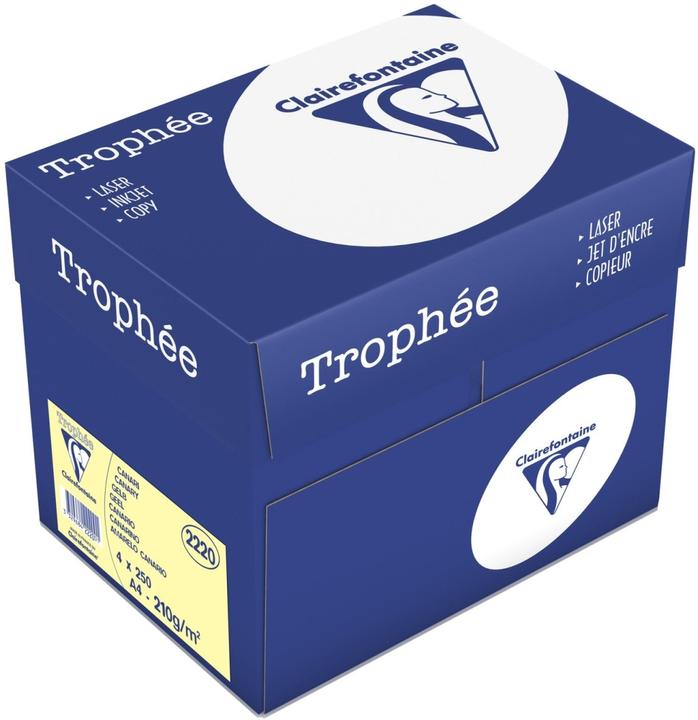 Immagine prodotto Clairalfa Carta multifunzione Troph'e, A4, giallo (210 g/m², 250 x, A4)
