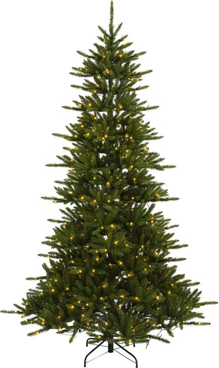 Valeurs nutritives et ingrédients Star Trading Arbre de Noël LED Minnesota (250 cm)