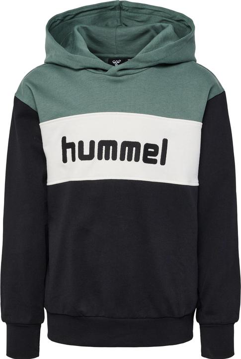 Actual product image hummel hmlMORTEN HOODIE (176)