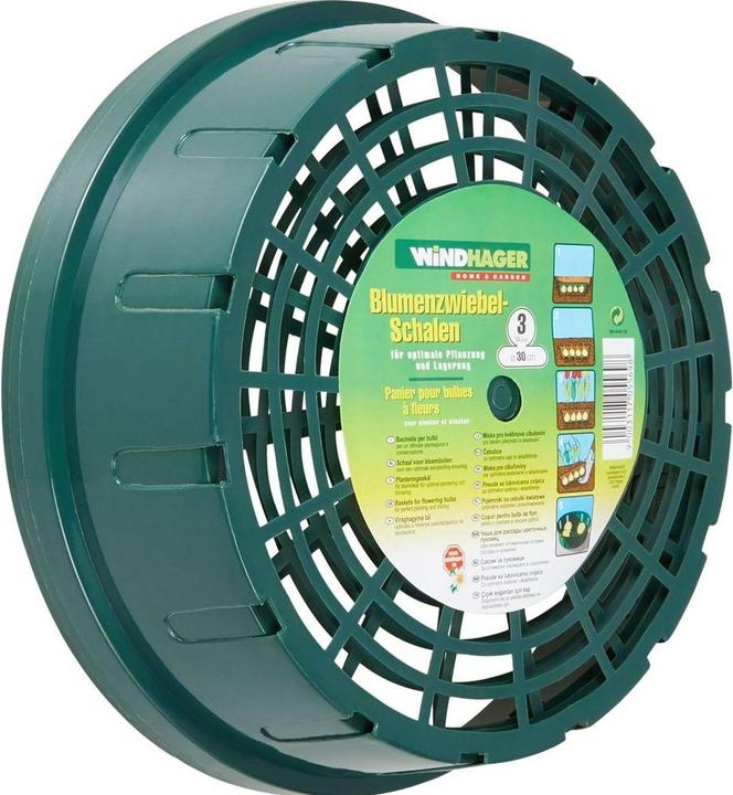 Actual product image Windhager Flower bulb tray 30cm