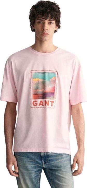 Actual product image GANT t-hirt wahed graphic (S)