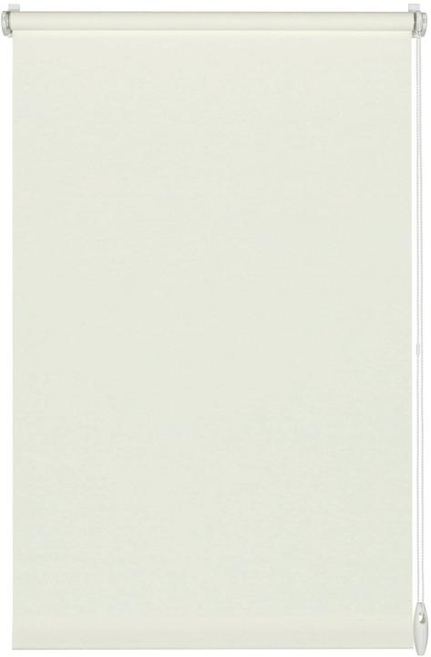 300 White