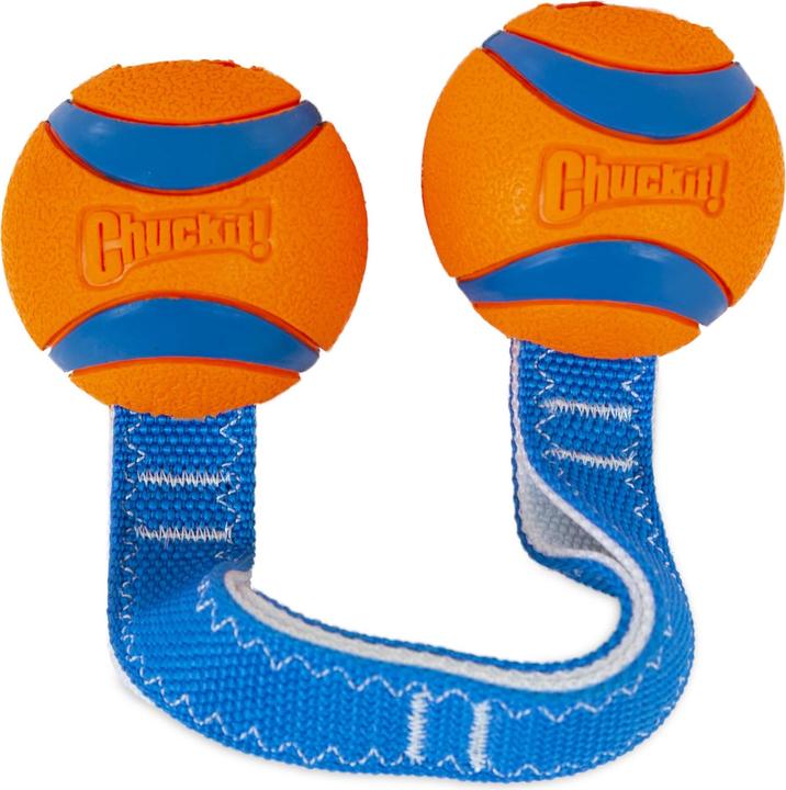 Chuckit! Jouet pour chiens