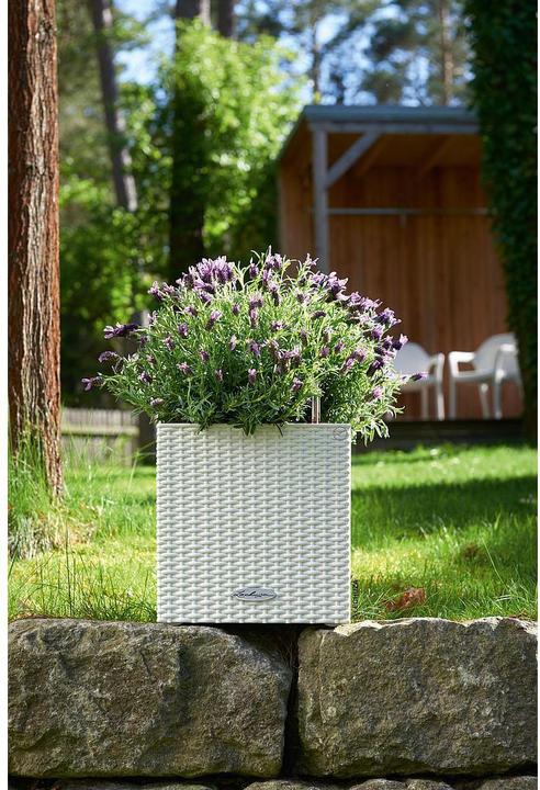 Produktbild Lechuza Cube Cottage 30 (29 cm)