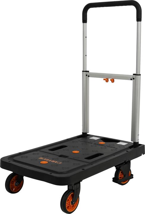 CarTech Plattformwagen (135 kg)