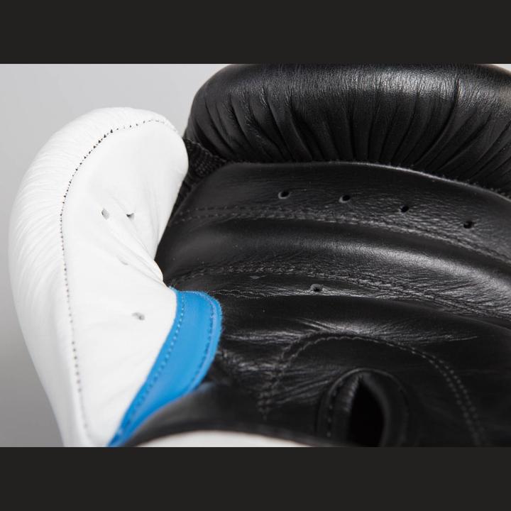 Image du produit Paffen Sport GEL Boxhandschuhe für das Training (10 OZ, Taille unique)
