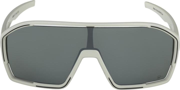 Image du produit ALPINA SPORTS Bonfire Q-Lite (Cool Grey Matt-Silver Mirror, Argent)