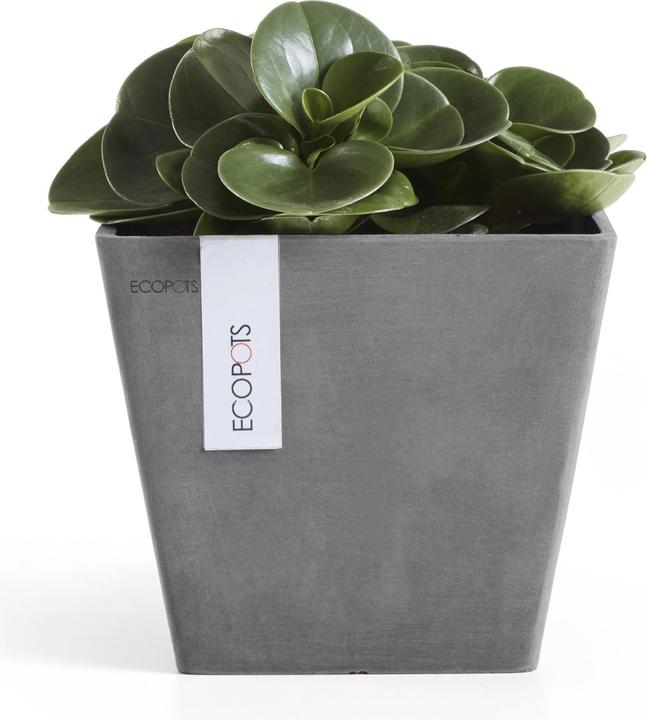 Image du produit Ecopots Rotterdam (20 cm)