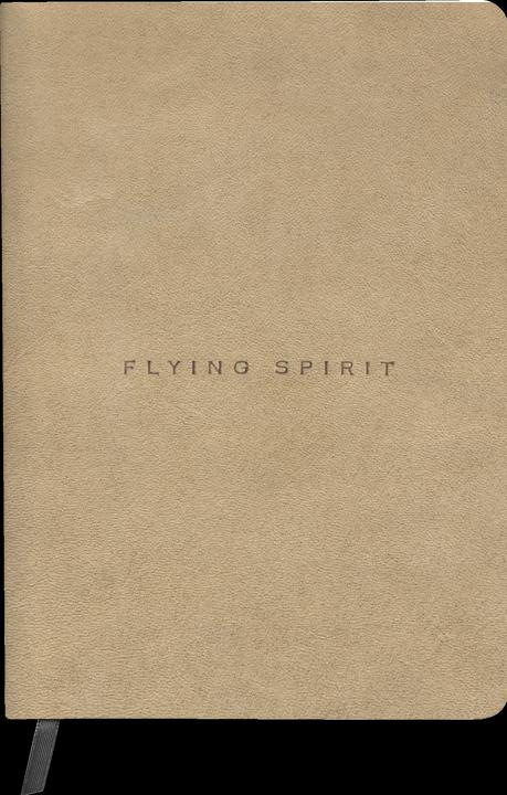 Image du produit Clairefontaine Carnet brochure cousue Flying Spirit Beige A5 180 pages DOT couverture cuir vieilli papier ivoire 90 (A5, Couverture rigide)